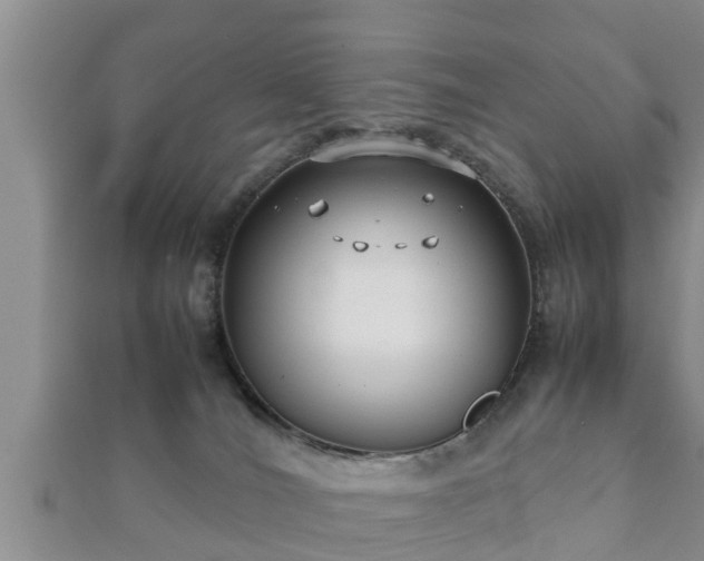 X0000112400036200908211125