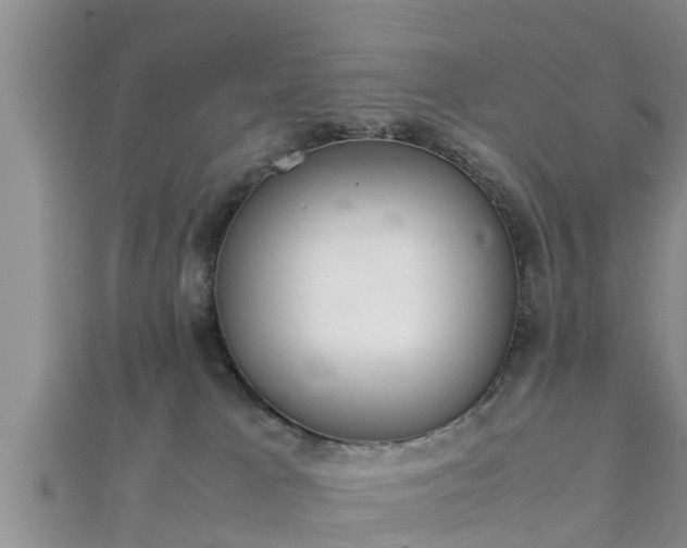 X0000112400037200908211125