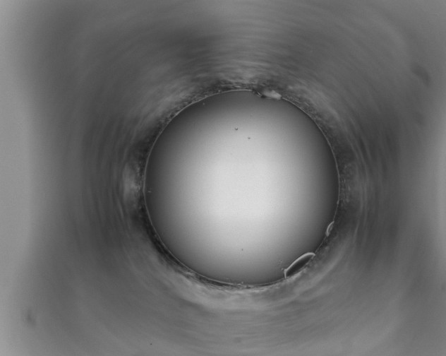 X0000112400040200908211125