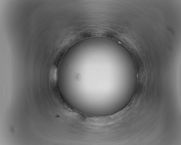 X0000112400041200908211125