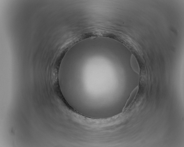 X0000112400043200908211125