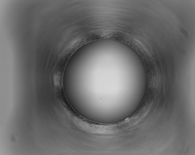 X0000112400044200908211125