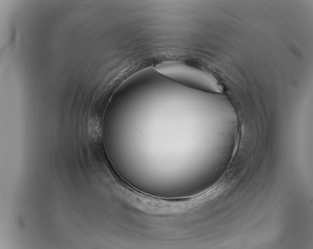 X0000112400048200908211125