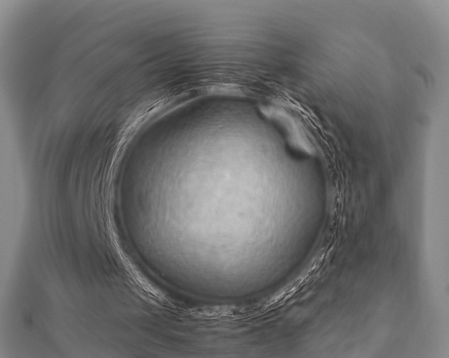 X0000112400049200908211124