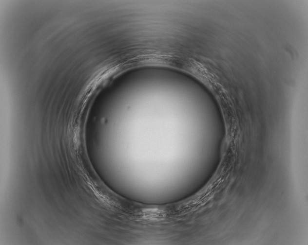 X0000112400050200908211124