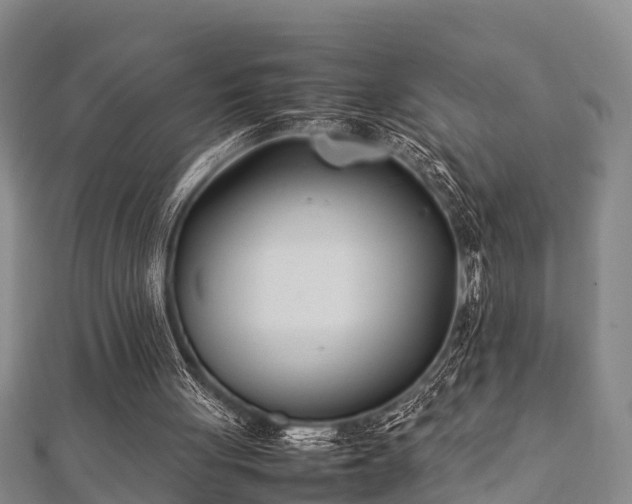X0000112400051200908211124