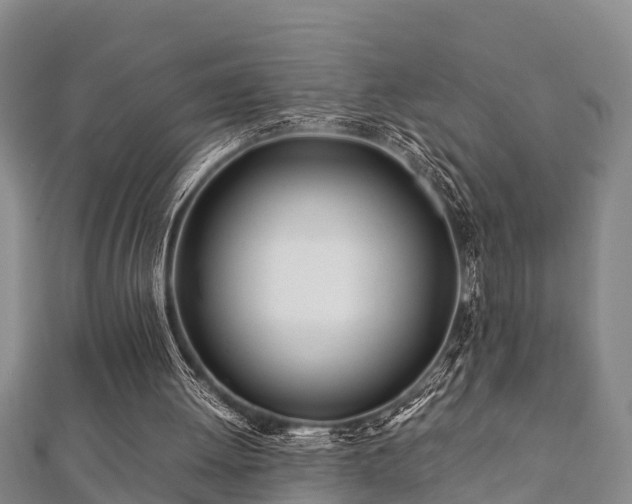 X0000112400052200908211124