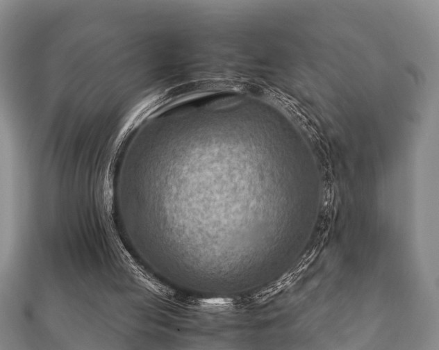 X0000112400053200908211124