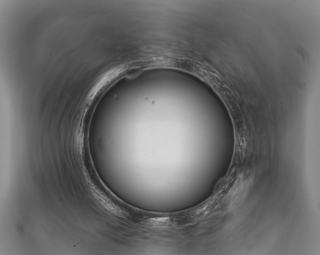 X0000112400054200908211124