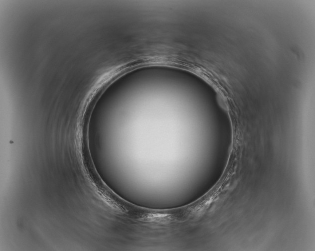 X0000112400055200908211124