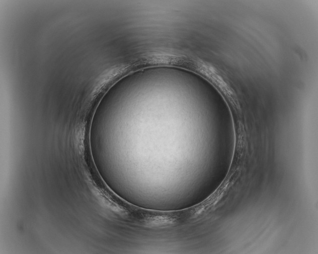 X0000112400058200908211124