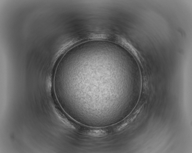 X0000112400059200908211124