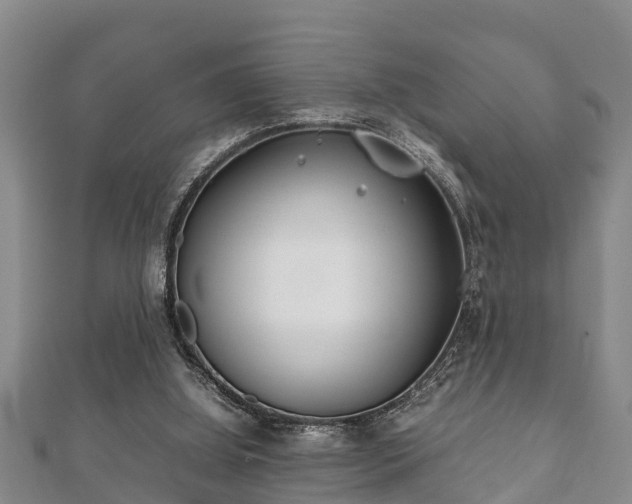 X0000112400060200908211124