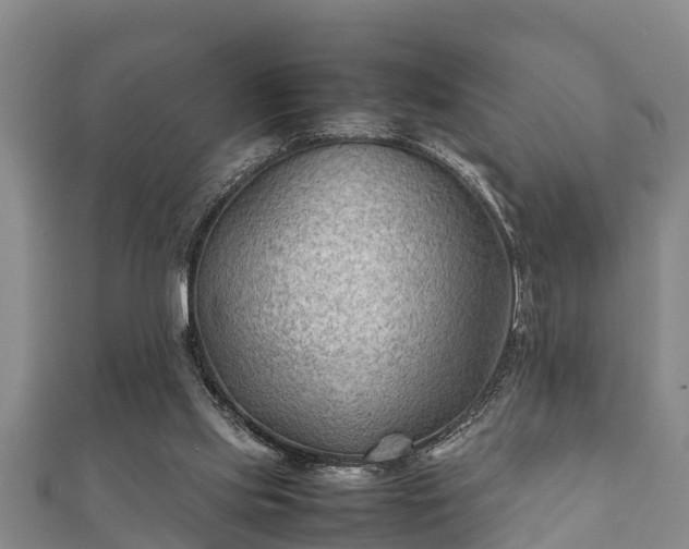 X0000112400061200908211124