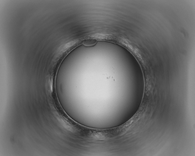 X0000112400062200908211124