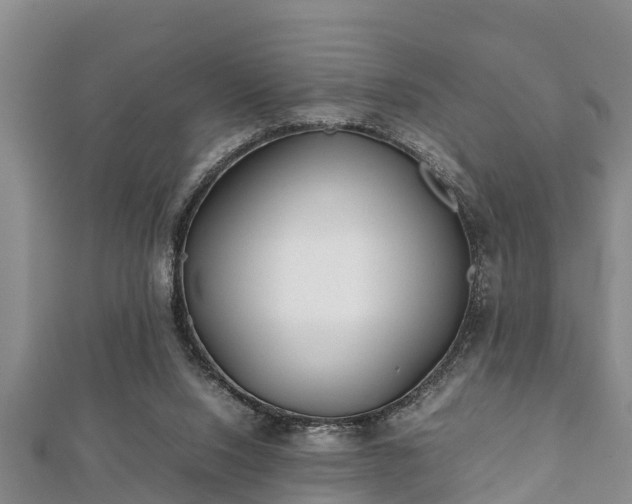 X0000112400064200908211124