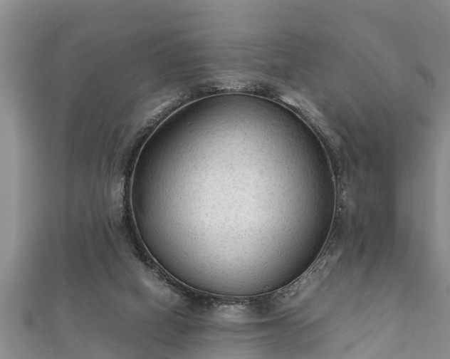 X0000112400066200908211124