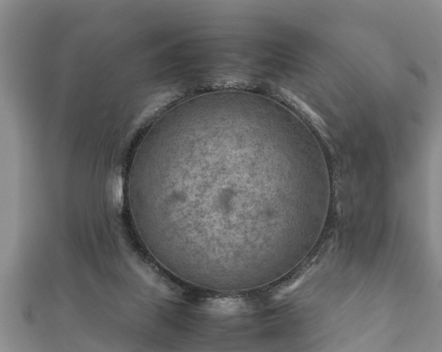 X0000112400067200908211124