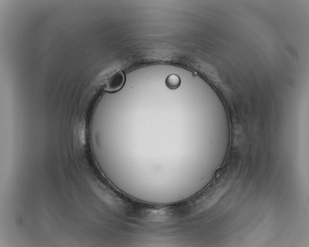 X0000112400068200908211124