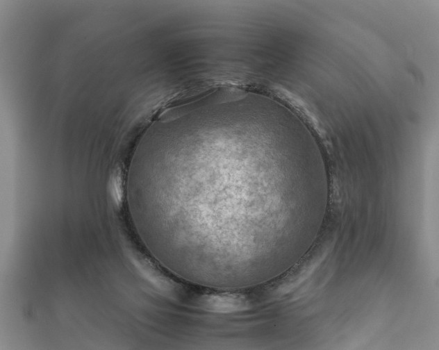 X0000112400069200908211124