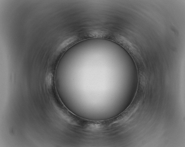 X0000112400071200908211124