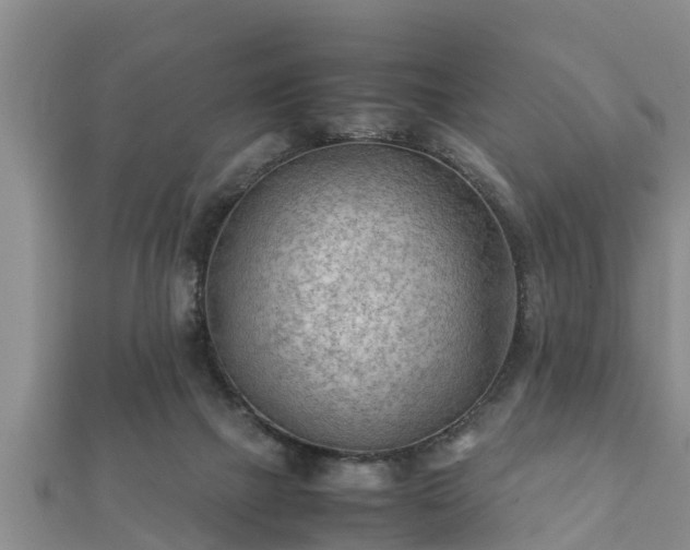 X0000112400073200908211124