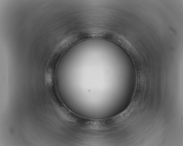 X0000112400074200908211124