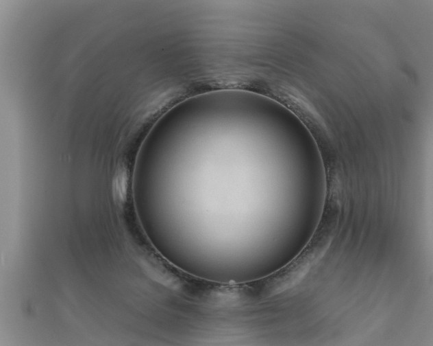 X0000112400076200908211124