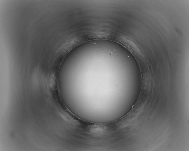 X0000112400077200908211124