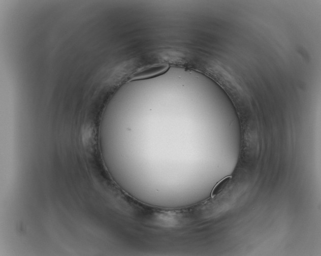 X0000112400079200908211124