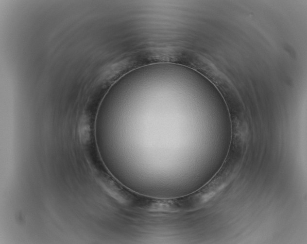 X0000112400080200908211124