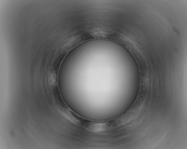 X0000112400081200908211124
