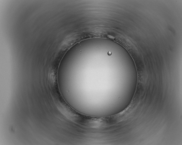 X0000112400086200908211125