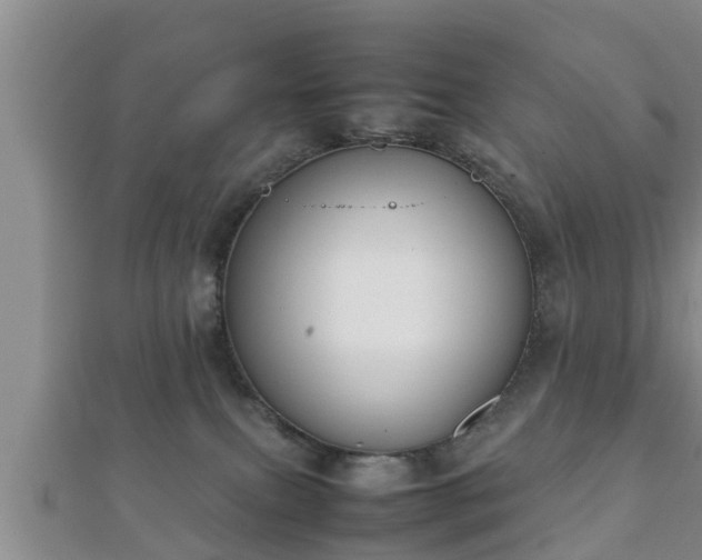 X0000112400087200908211125