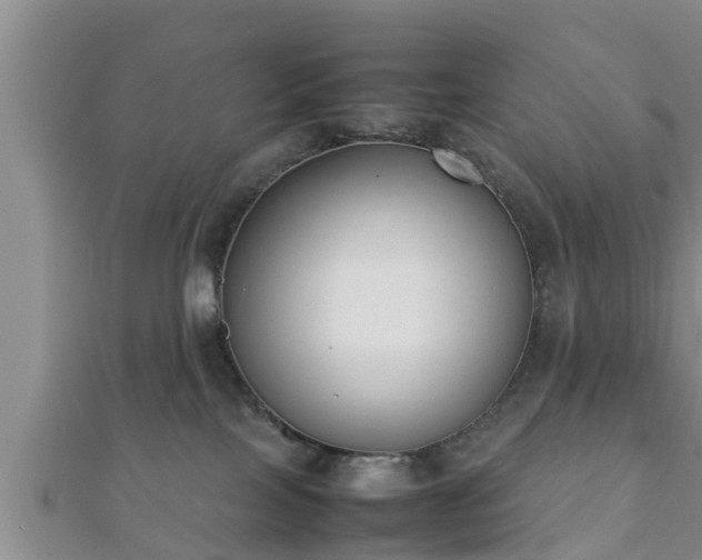 X0000112400089200908211125