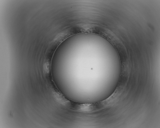 X0000112400090200908211125