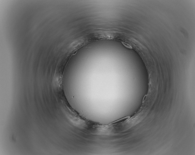 X0000112400096200908211125