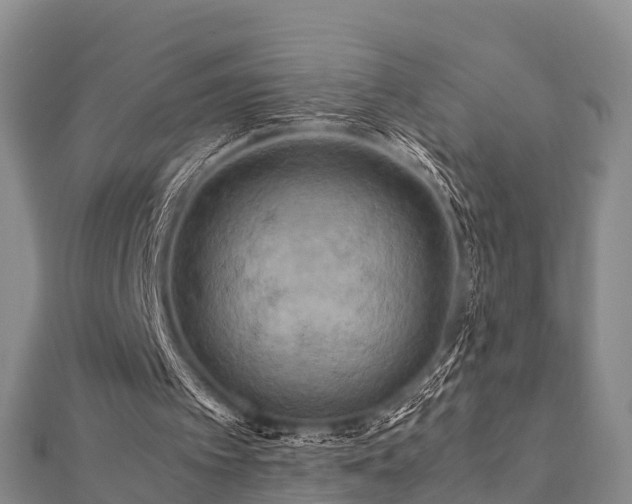 X0000112400097200908211124