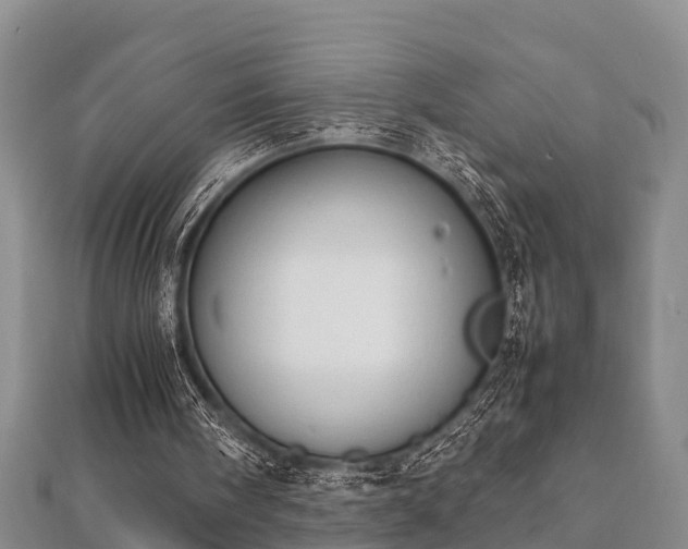 X0000112400098200908211124