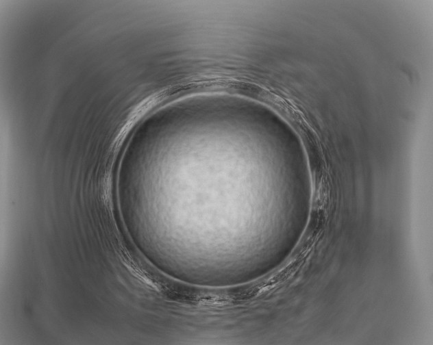 X0000112400099200908211124