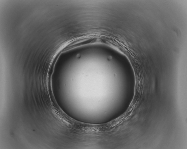 X0000112400100200908211124