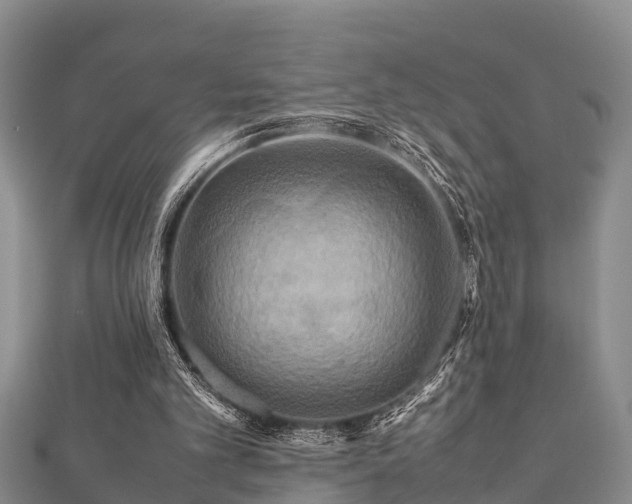 X0000112400101200908211124