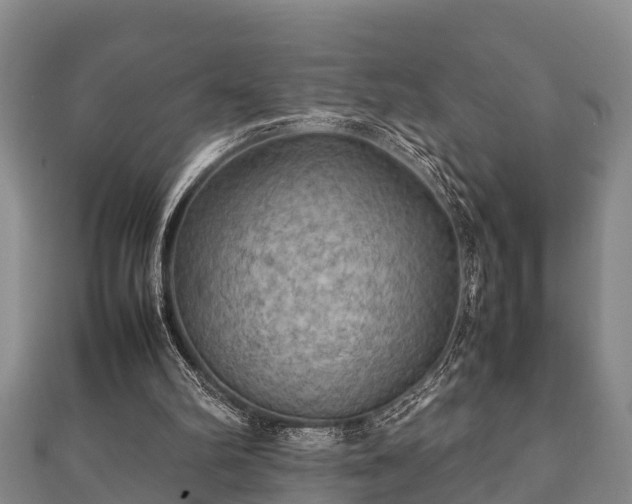 X0000112400102200908211124