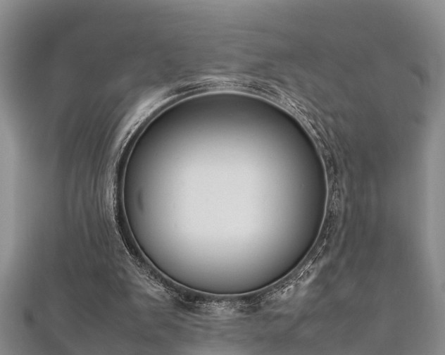 X0000112400103200908211124