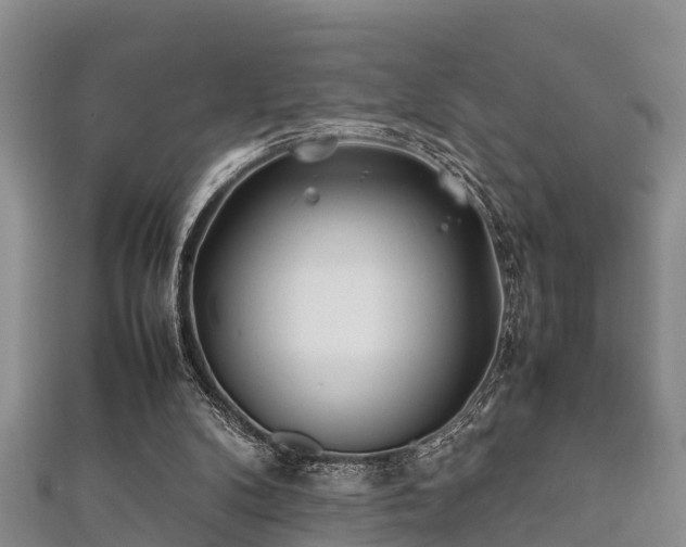 X0000112400104200908211124