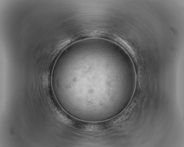 X0000112400105200908211124