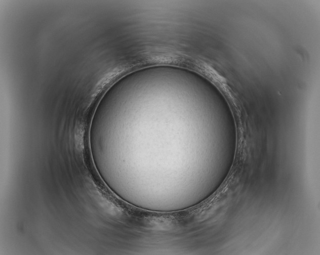 X0000112400106200908211124