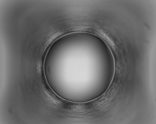 X0000112400107200908211124