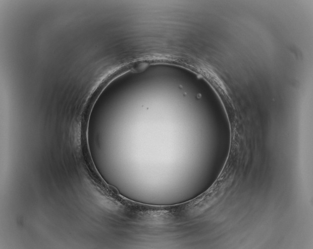 X0000112400108200908211124