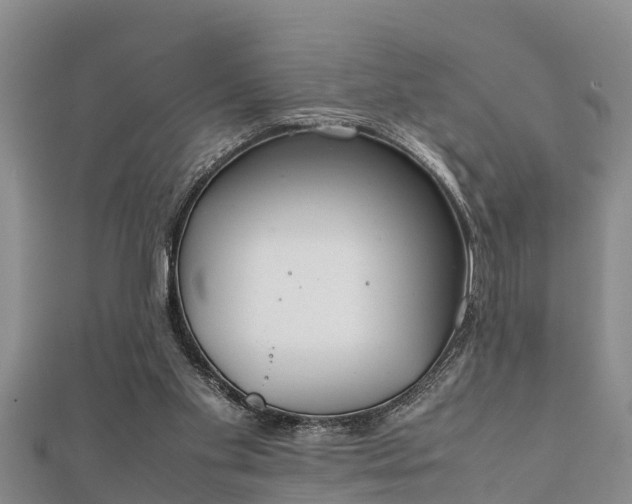 X0000112400109200908211124
